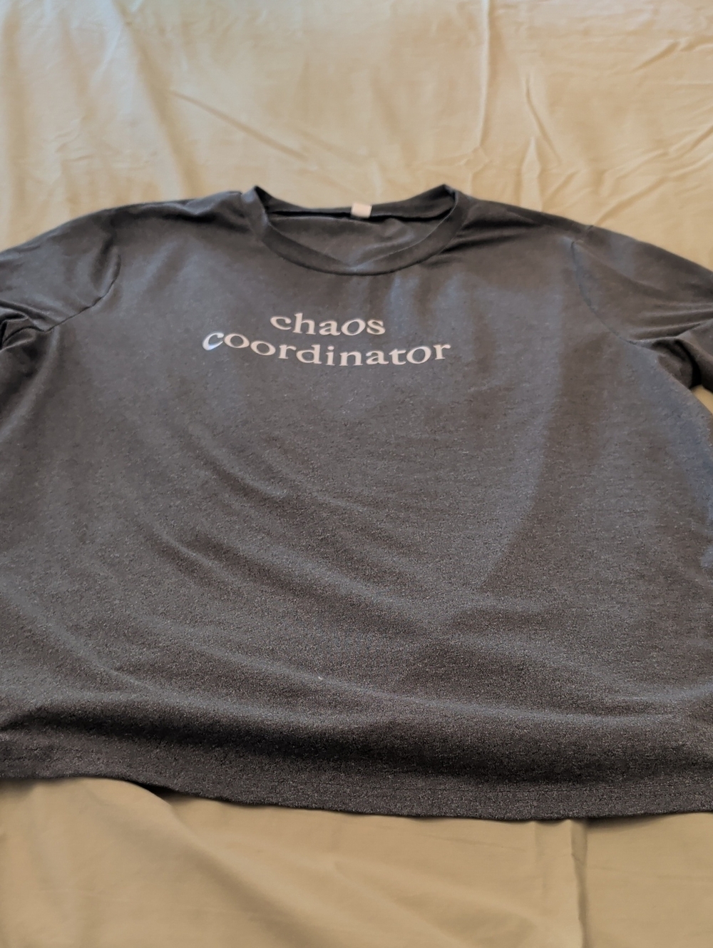 Men's "Chaos Coordinator"  Crewneck Tee